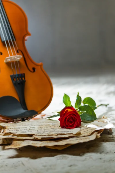 Violin sheet music and rose