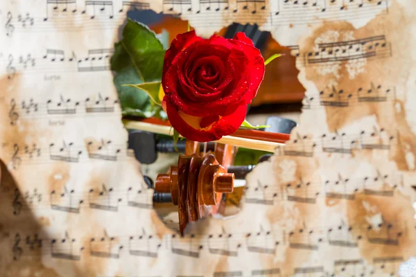 Violin sheet music and rose — Stock Photo, Image