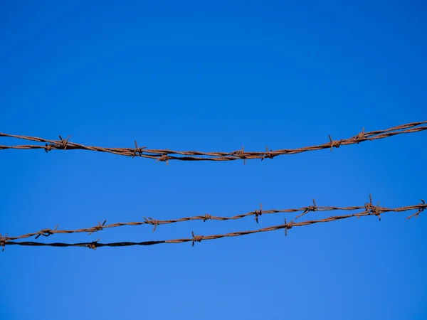 Barb wire fence and blue sky — Stock Photo, Image