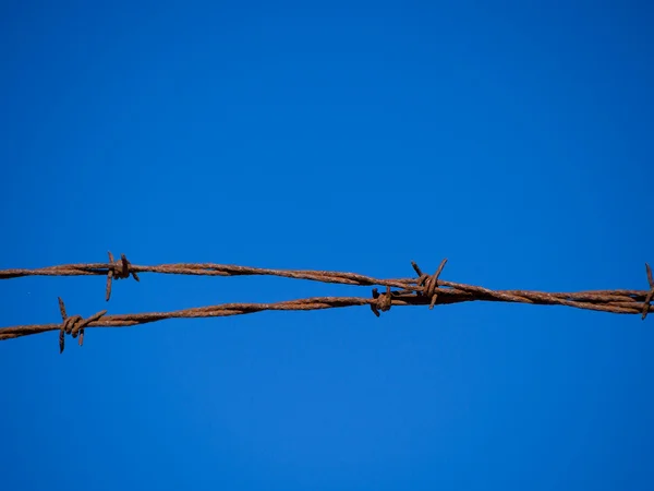 Barb tel çit ve mavi gökyüzü — Stok fotoğraf