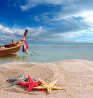 starfish on the beach in Thailand clipart
