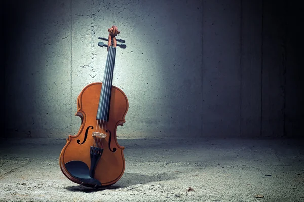 콘크리트 벽에 바이올린 — 스톡 사진