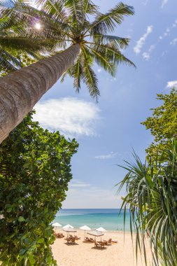 güzel yaz koh surin beach