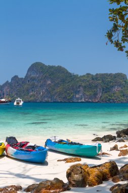 maymun bay, koh phiphi Adası