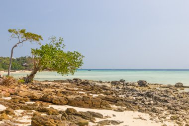 Beach koh phi phi krabi adlı