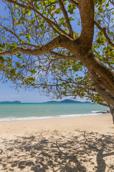 Patong beach in phuket island Thailand — Stock Photo, Image