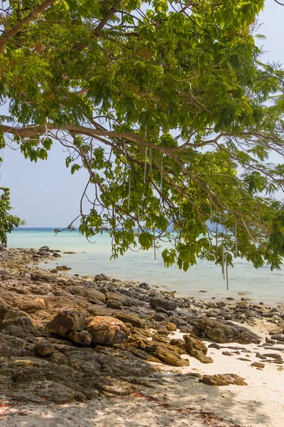 Pláž na koh phi phi krabi — Stock fotografie