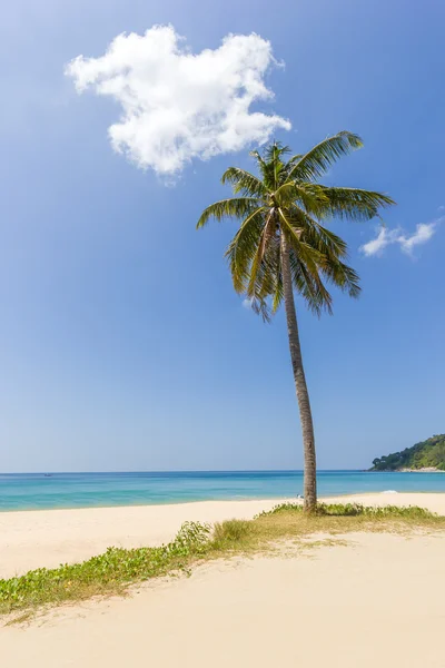The famous beach of Paton in Koh Phuket — Stock Photo, Image