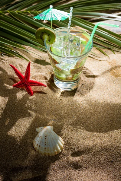 Kiwi-Cocktail im Sand — Stockfoto