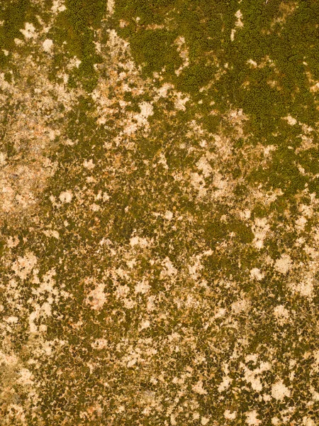 Textura de pared de piedra — Foto de Stock