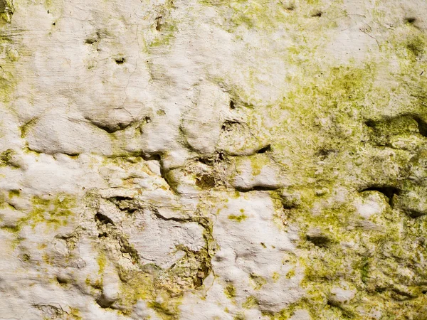 Textura de perete de piatră — Fotografie, imagine de stoc