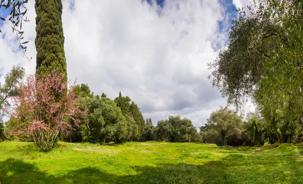 Trädgårdarna i mon repos i Korfu — Stockfoto