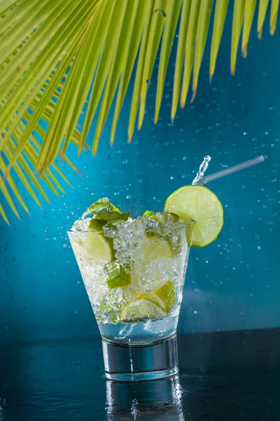 Mojito-cocktail på klubben – stockfoto
