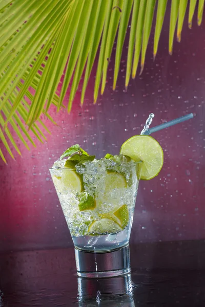 Mojito-cocktail på klubben – stockfoto