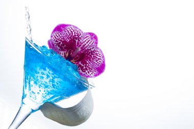 Moleküler mixology - havyar ile kokteyl 