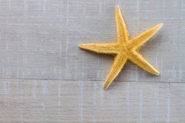 Deniz yıldızı güverte