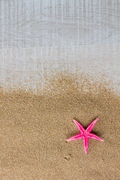 Estrella de mar en la cubierta de la piscina — Foto de Stock