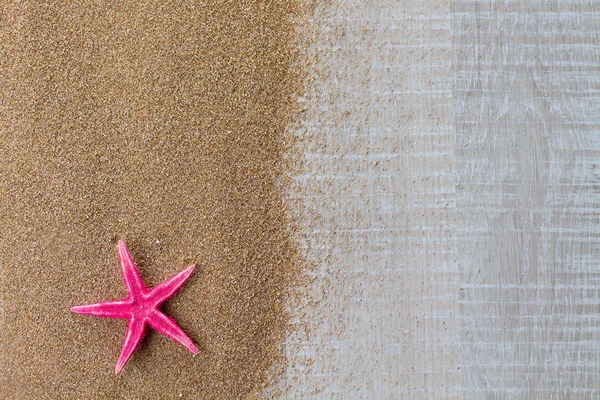 Starfish no convés da piscina — Fotografia de Stock