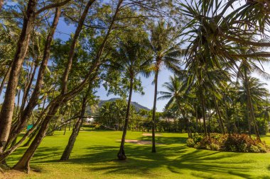 doğal yeşil ve bunker at 8 delik 