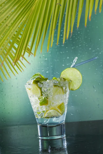 Mojito cocktail in de club — Stockfoto