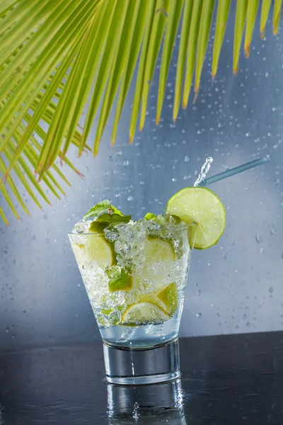 Mojito-Cocktail im Club — Stockfoto