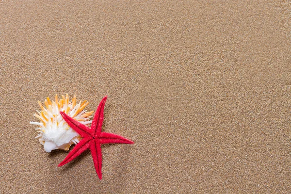 Stelle marine sulla spiaggia di sabbia — Foto Stock