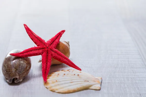 Primer plano de la estrella de mar roja en la cubierta de madera vieja —  Fotos de Stock