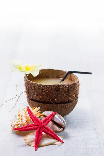 Coconut cocktail, starfish and shells on the deck — Stock Photo, Image
