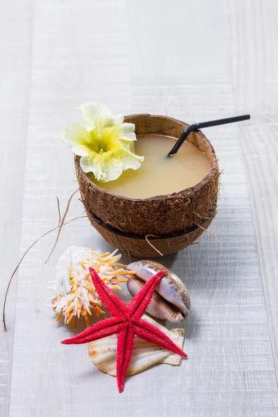 Coconut cocktail, starfish and shells on the deck — Stock Photo, Image