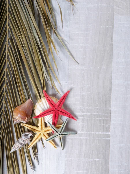 Starfish on the deck — Stock Photo, Image