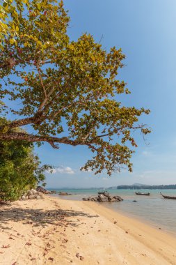 Coconut island beach of Nai Yang Koh Phuket  clipart
