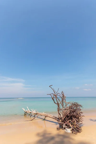 Paradisiac beach of Nai Yang Koh Phuket — Stock Photo, Image