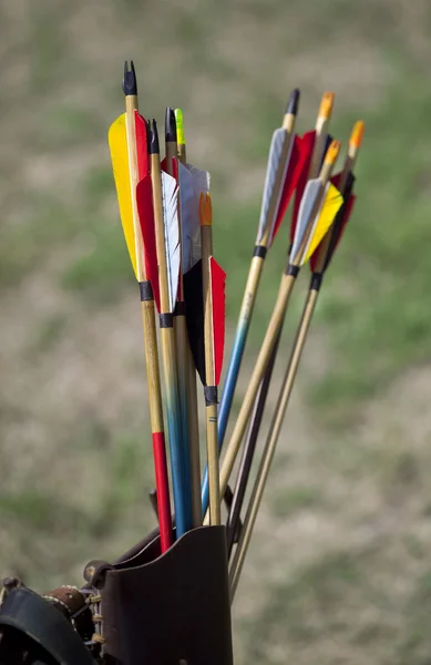 Various arrows — Stock Photo, Image