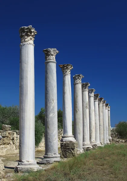 Стародавні колони — стокове фото