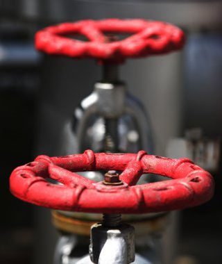 Kırmızı kapak
