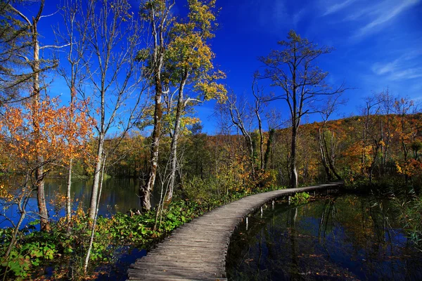 Outono em Plitvice — Fotografia de Stock