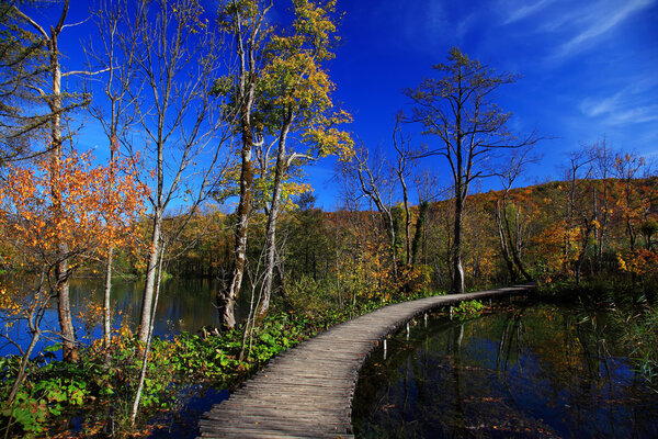 Autumn in Plitvice