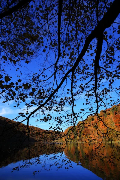 Herbst in Plitvice — Stockfoto