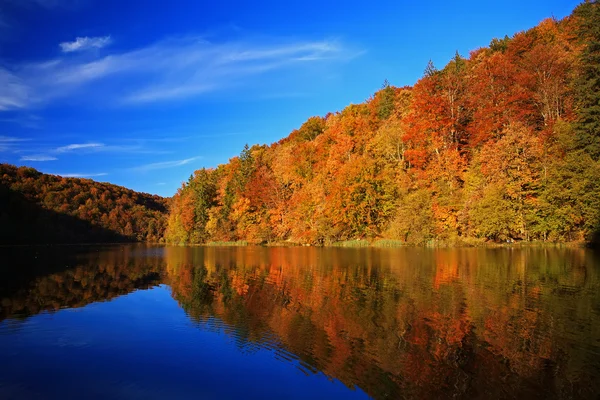 Outono em Plitvice — Fotografia de Stock