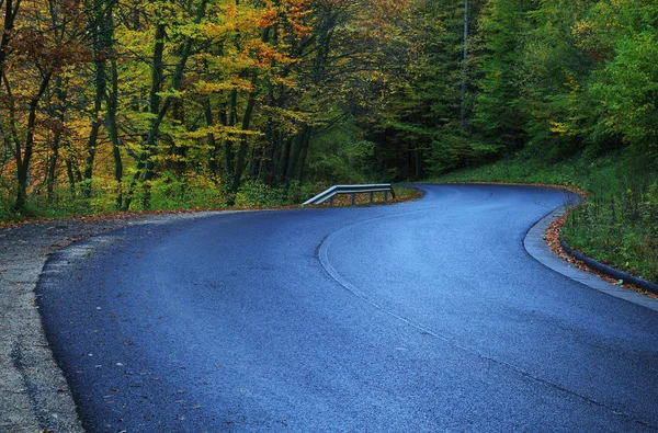 Дорога осенью — стоковое фото