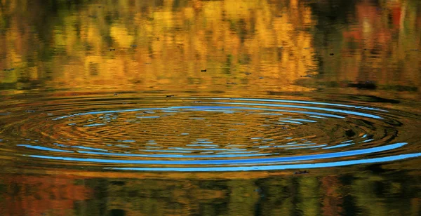 Ondulation à la surface de l'eau en automne — Photo