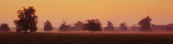 Panorama landscape at dusk — Stock Photo, Image