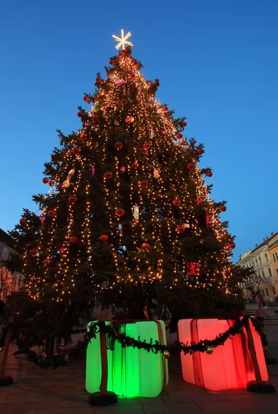 Arbre de Noël — Photo