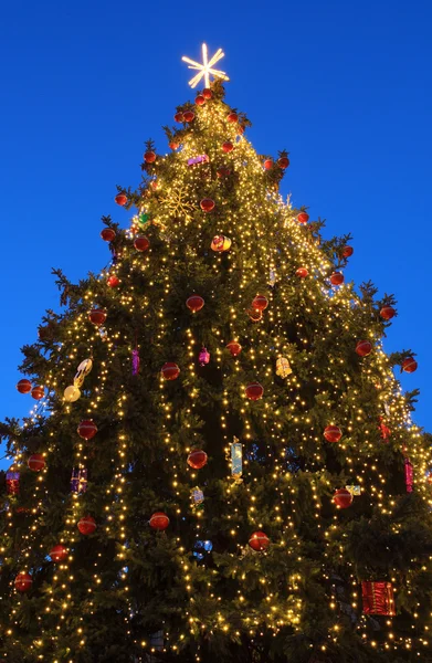Christmas tree outdoor — Stock Photo, Image