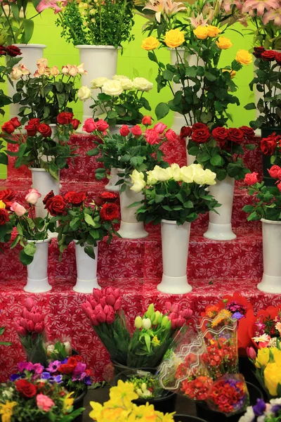 Красочные цветы в цветочном магазине — стоковое фото