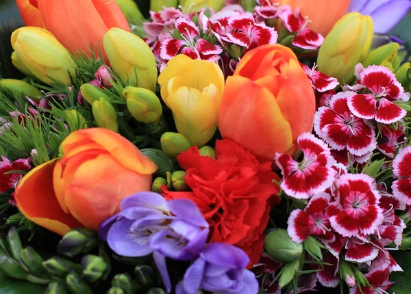 다채로운 꽃의 무리 — 스톡 사진