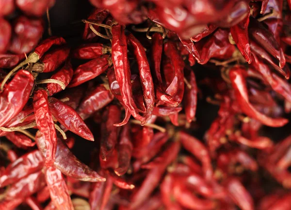 Dried pepper — Stock Photo, Image