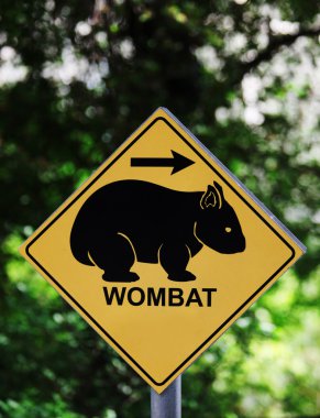 Wombat işareti