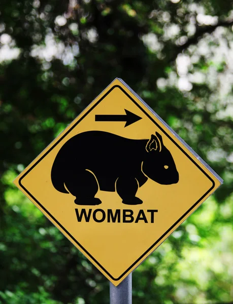 Wombat tecken — Stockfoto