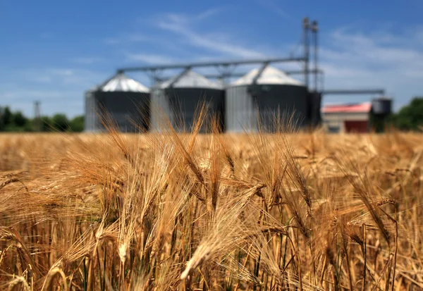 Landbouw — Stockfoto